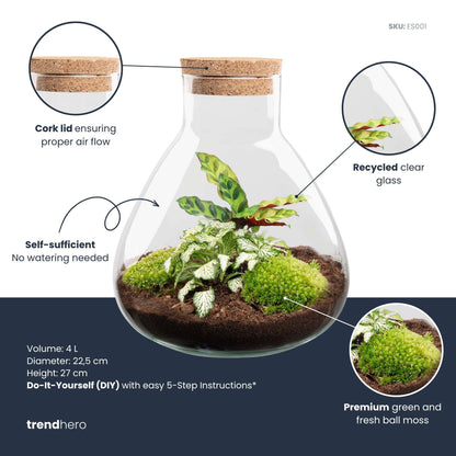 Everspring Flaschengarten Sammie, 26 cm Pflanzgefäß, ohne Werkzeuge, mit grünen Pflanzen im transparenten Glas.