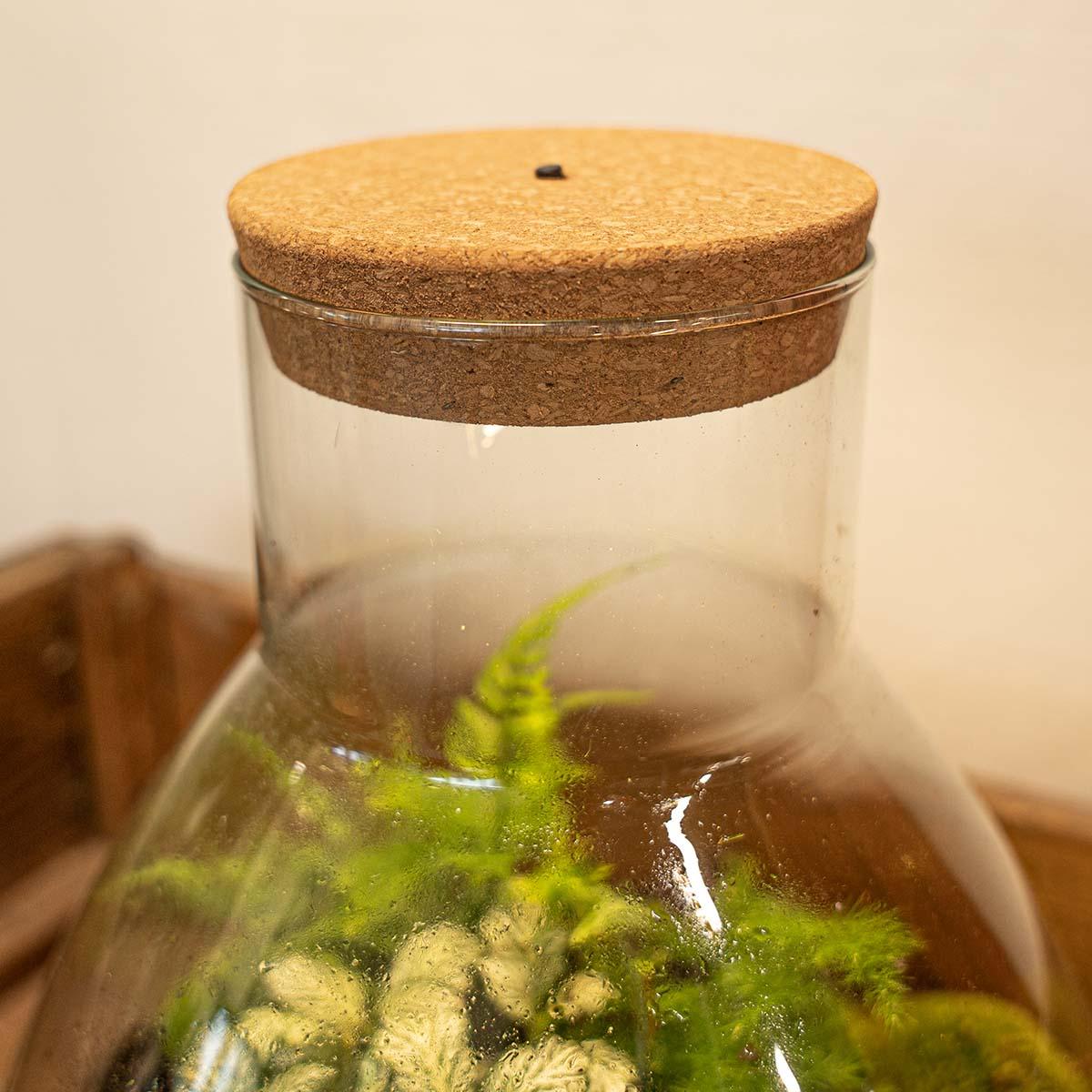 Everspring LED-Kork S mit integrierter Beleuchtung, 10,3 x 9 x 2,7 cm, ideal für Terrarien, naturgetreues Design