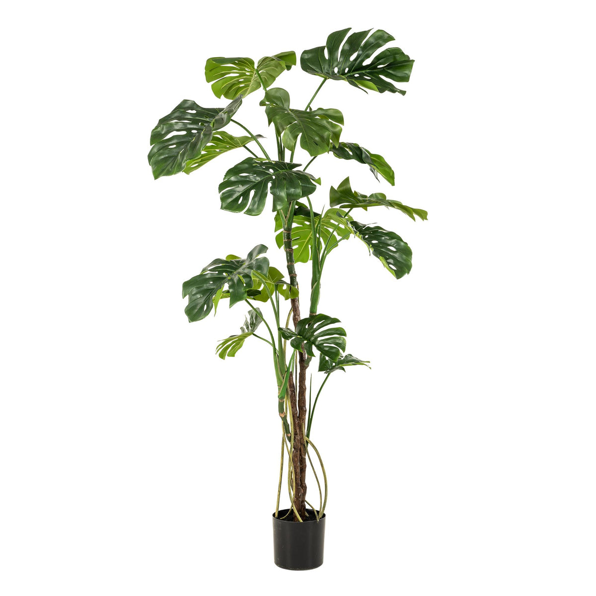 Kunstpflanze Monstera Deliciosa von Everspring, 45-180 cm hohe Löcherpflanze mit großen, grünen Blättern.
