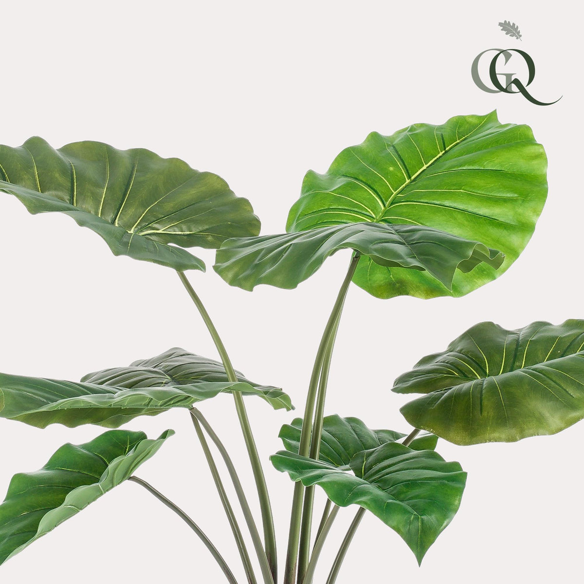 Künstliche Alocasia Pflanze von Everspring, Elefantenohr, 70 bis 180 cm hoch, grüne Blätter, realistische Dekorationspflanze