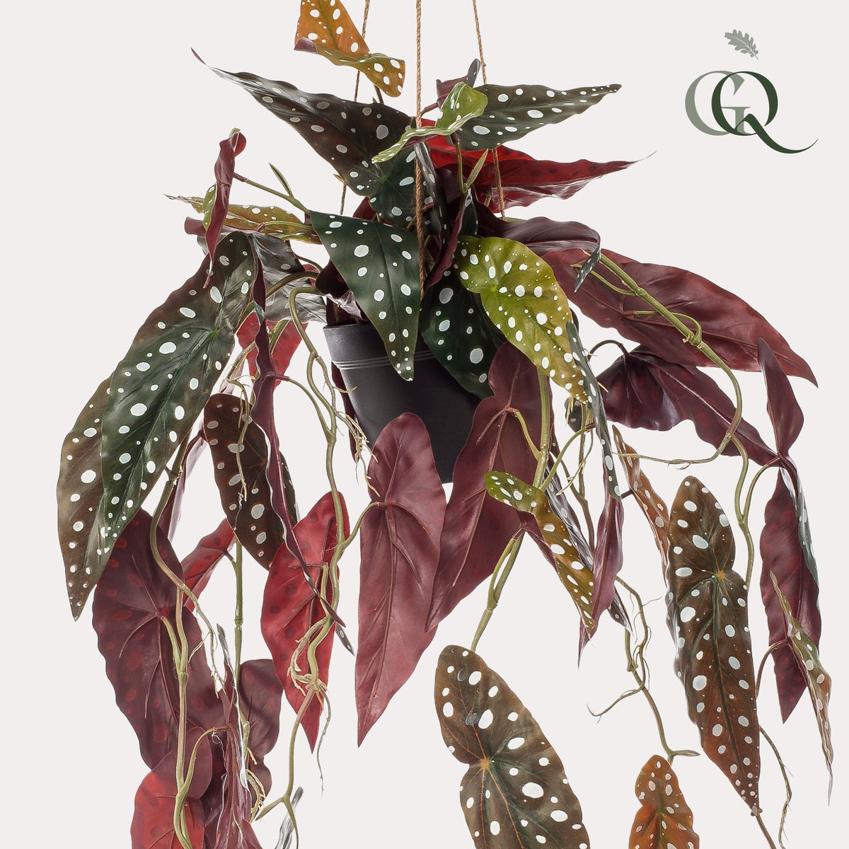 Kunstpflanze Begonia Maculata, Forellenbegonie, 80 cm hoch, detailreiche, realistische Everspring Kunstpflanze mit grünen Blättern.