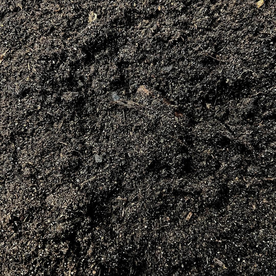 Culvita Cactuserde – 5 L – Spezialerde für Kakteen &amp; Sukkulenten – Optimale Drainage &amp; kräftiges Wachstum