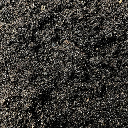 Culvita Cactuserde – 5 L – Spezialerde für Kakteen &amp; Sukkulenten – Optimale Drainage &amp; kräftiges Wachstum