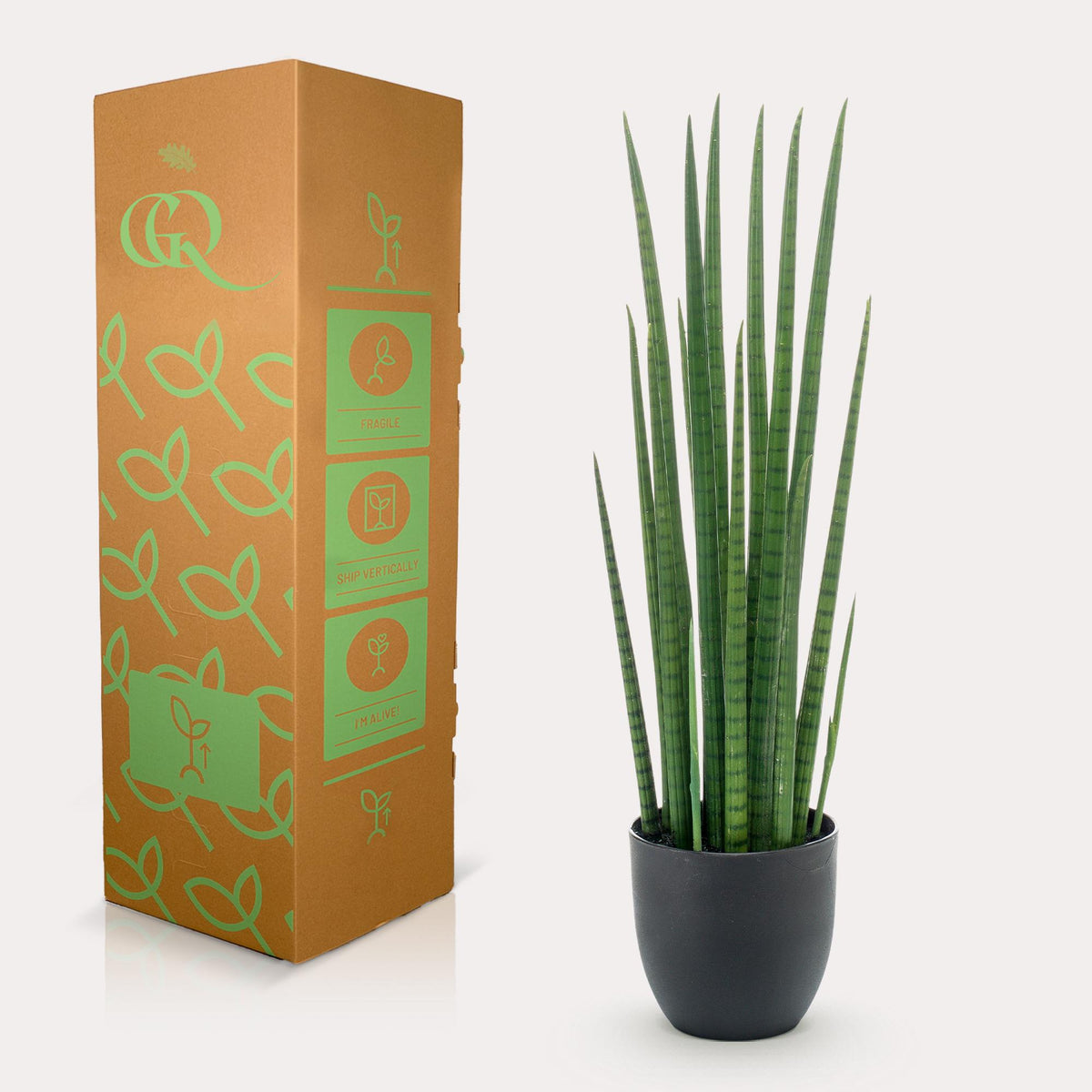 Everspring Kunstpflanze Sansevieria Cylindrica, 70cm hohe Frauenzunge, grüner Sukkulenten-Ableger in Topf, realistische Pflanze