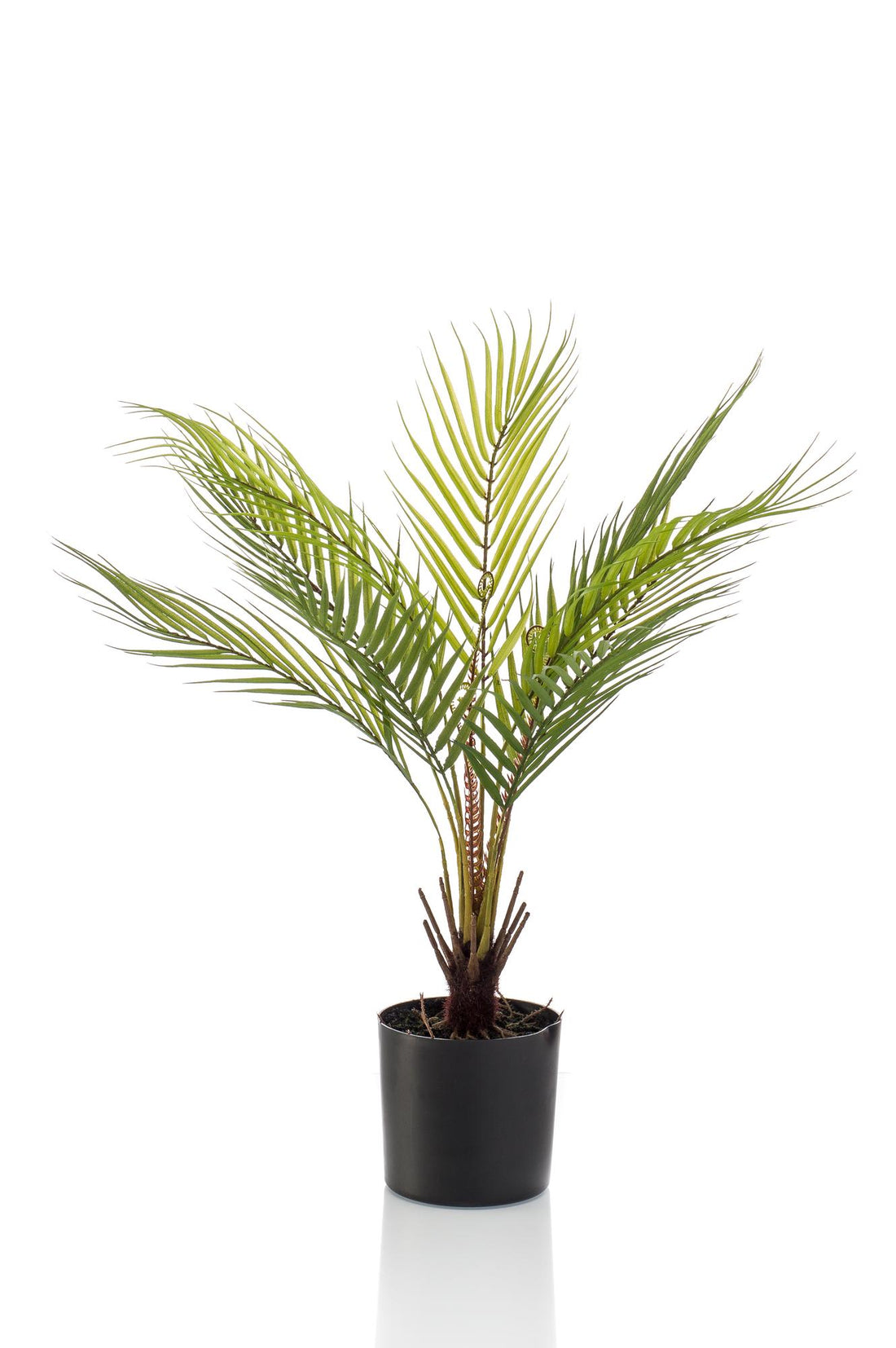 Kunstpflanze Chamaedorea elegans Bergpalme, 50 cm hoch im Topf als kompakte Tischpalme