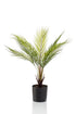 Kunstpflanze Chamaedorea Elegans, Bergpalme von Everspring, 50 cm hoch, detailreiche grüne Kunstpflanze als Dekoration