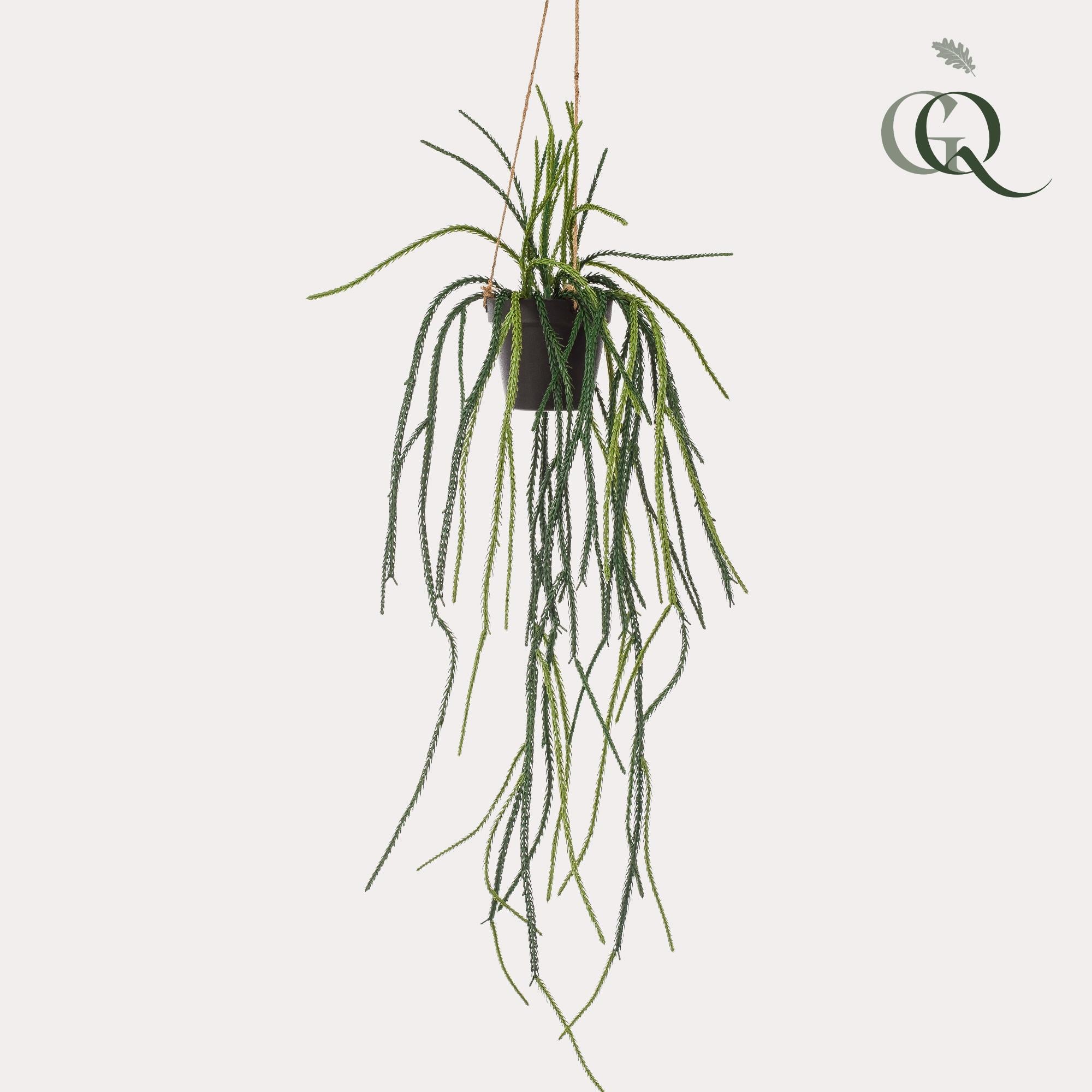 Kunstpflanze Rhipsalis, Korallenkaktus, 85 cm hoch, Everspring, grüner, lebensechter Kunststoff-Kaktus für Dekoration.