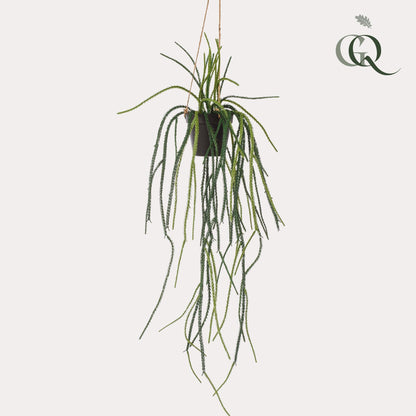 Kunstpflanze Rhipsalis, Korallenkaktus, 85 cm hoch, Everspring, grüner, lebensechter Kunststoff-Kaktus für Dekoration.