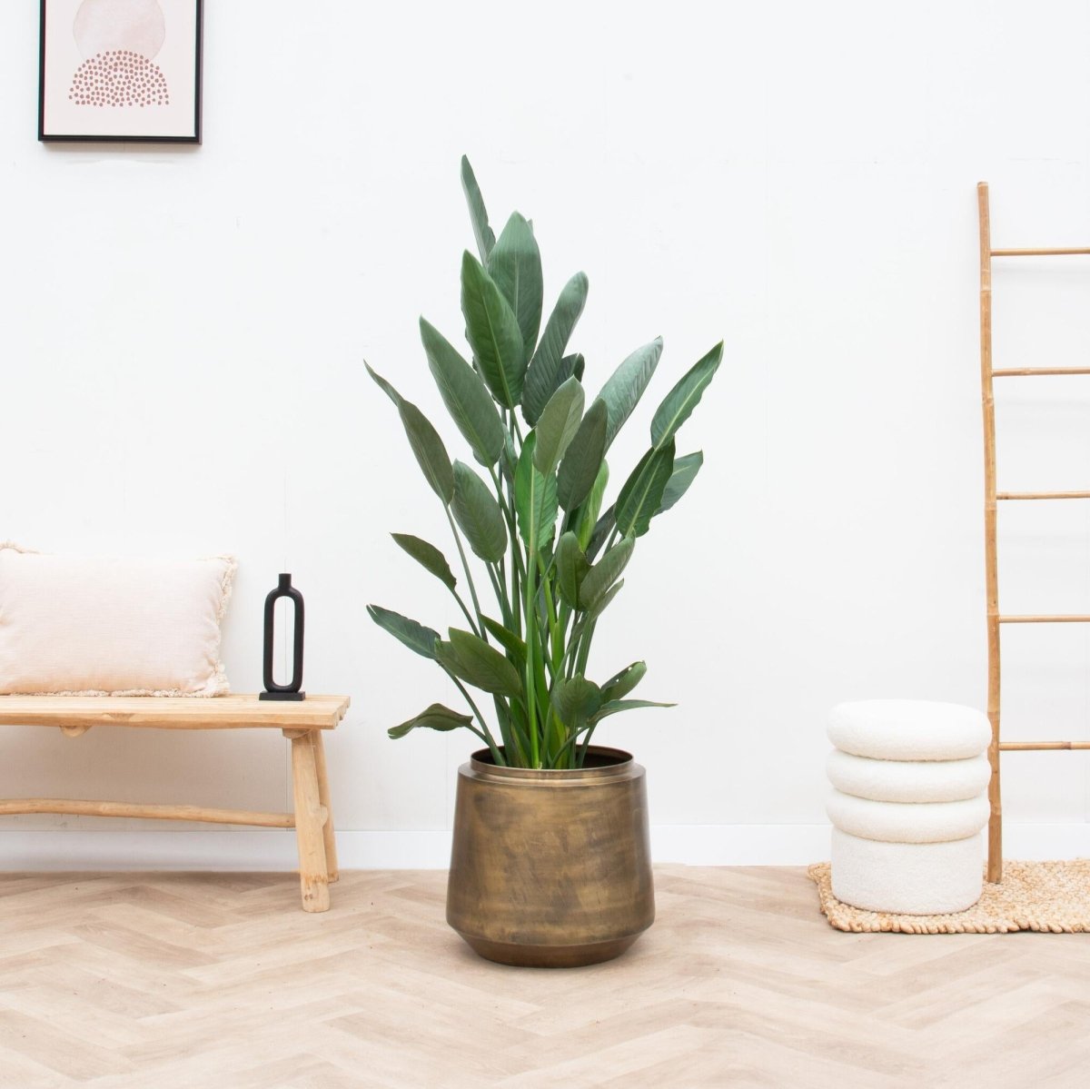 Topf Indigo Vintage Gold D33 x H31 - Wurzelwerk Design