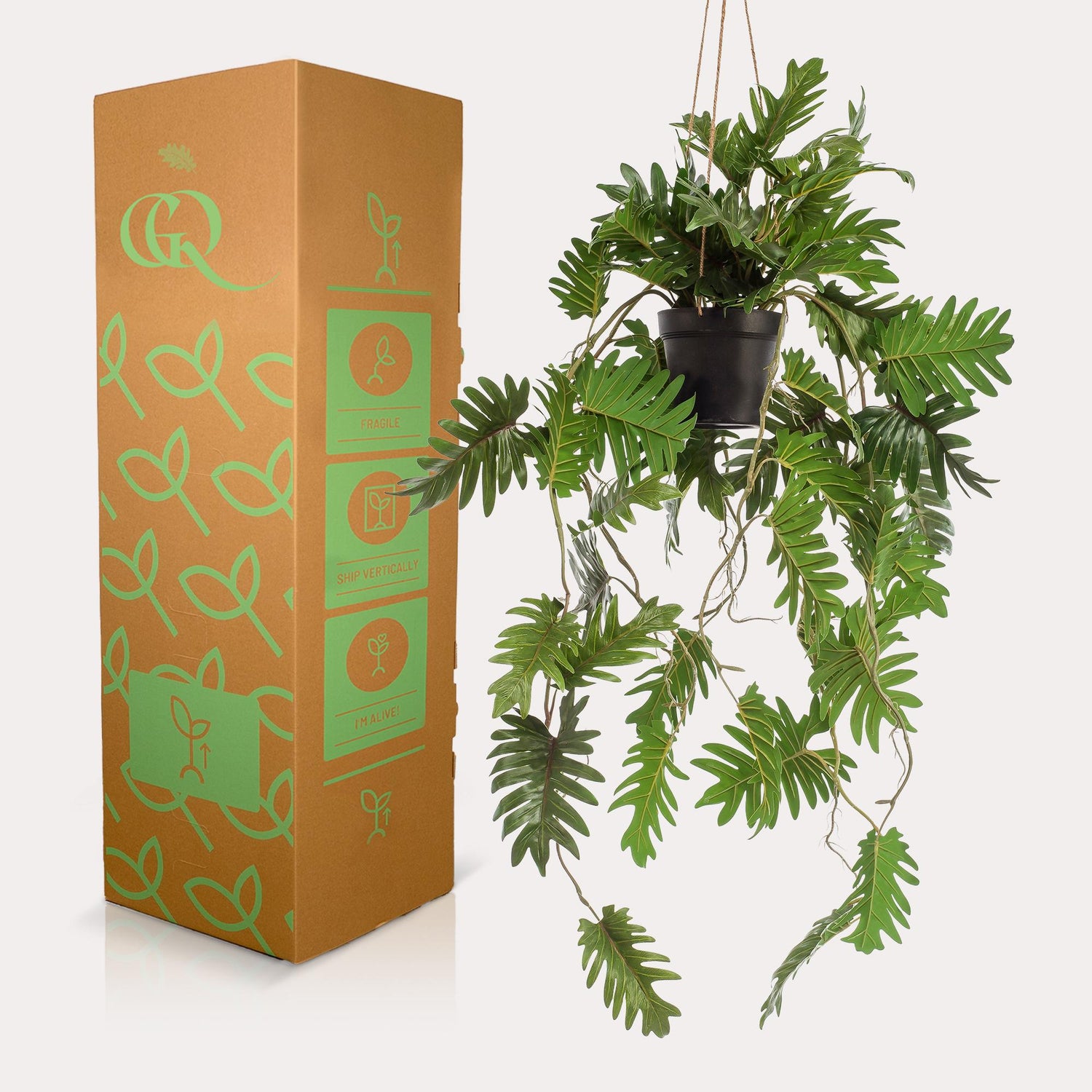 Everspring Kunstpflanze Philodendron hängend, 80 cm, täuschend echte, grüne Pflanze mit hängenden Blättern, dekorativ für Zuhause