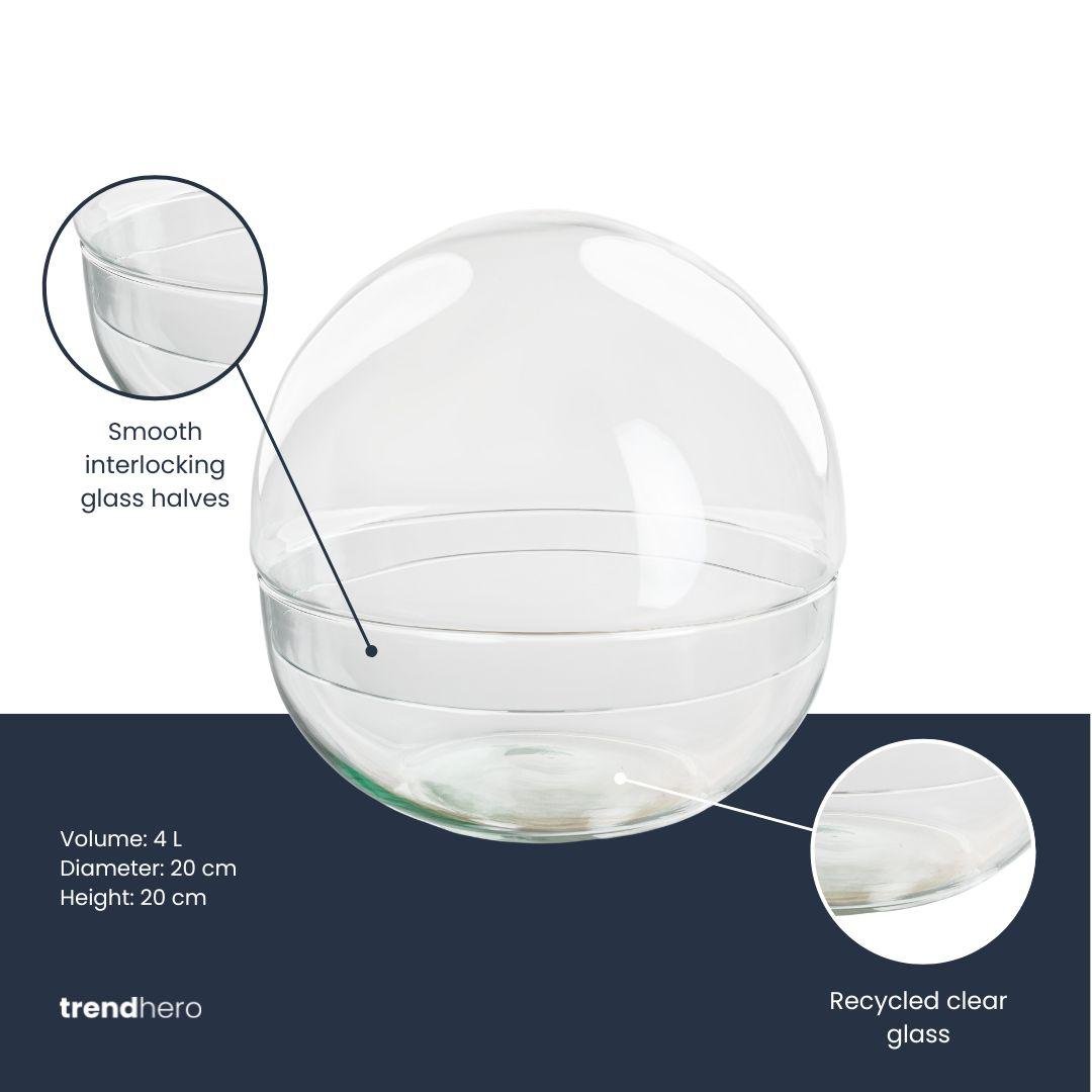 Zweiteilige Terrarium-Glaskuppel von Everspring, Durchmesser 20 cm, transparentes Glas für Pflanzen- oder Tierhaltung