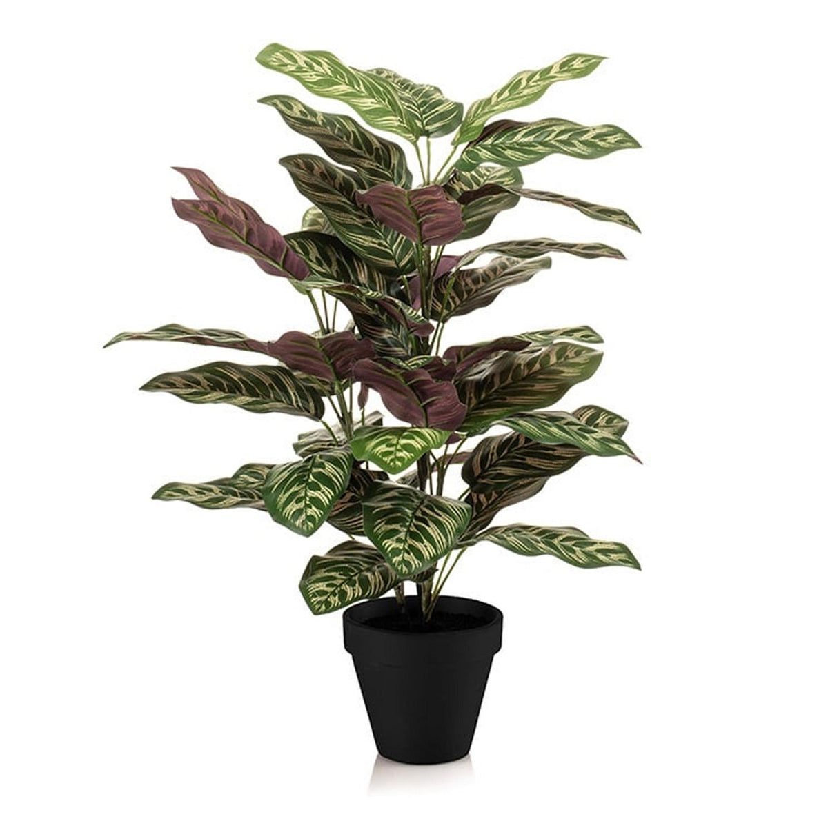 Künstliche Calathea im Topf, 65 cm hoch, von Everspring, detailreiche grüne Blätter, ideal für Dekoration im Innenbereich