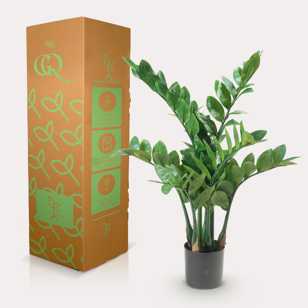 Everspring Kunstpflanze Zamioculcas, Zimmerpalme, 70 cm hoch, grüne Blätter, dekorative Zimmerpflanze, pflegeleicht