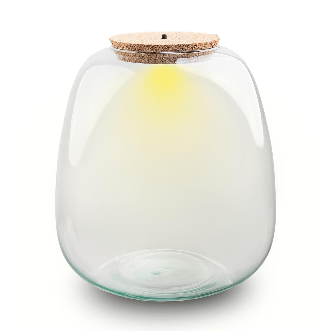 Everspring Terrariumflasche mit Beleuchtung, runder Pot Ø 23 cm, 25 cm hoch, mit LED-Licht, dekoratives Pflanzen- und Terrarienzubehör