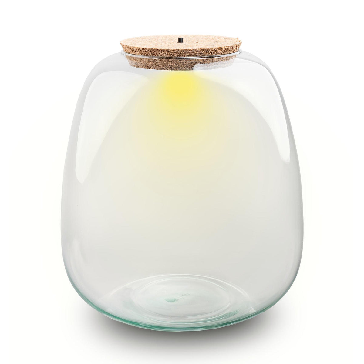 Everspring Terrariumflasche mit Beleuchtung, runder Pot Ø 23 cm, 25 cm hoch, mit LED-Licht, dekoratives Pflanzen- und Terrarienzubehör