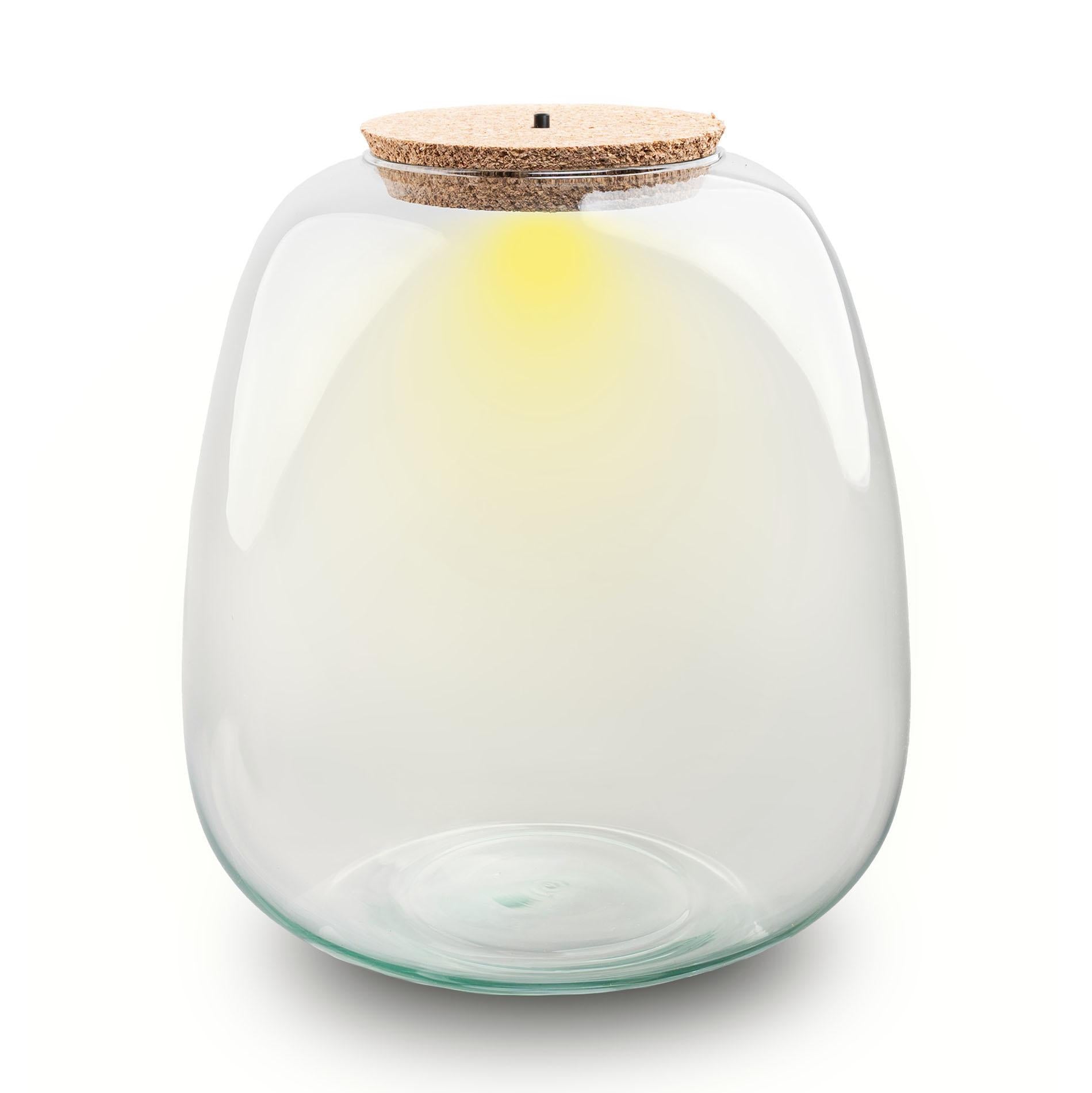 Everspring Terrariumflasche mit Beleuchtung, runder Pot Ø 23 cm, 25 cm hoch, mit LED-Licht, dekoratives Pflanzen- und Terrarienzubehör