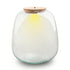 Everspring Terrariumflasche mit Beleuchtung, runder Pot Ø 23 cm, 25 cm hoch, mit LED-Licht, dekoratives Pflanzen- und Terrarienzubehör