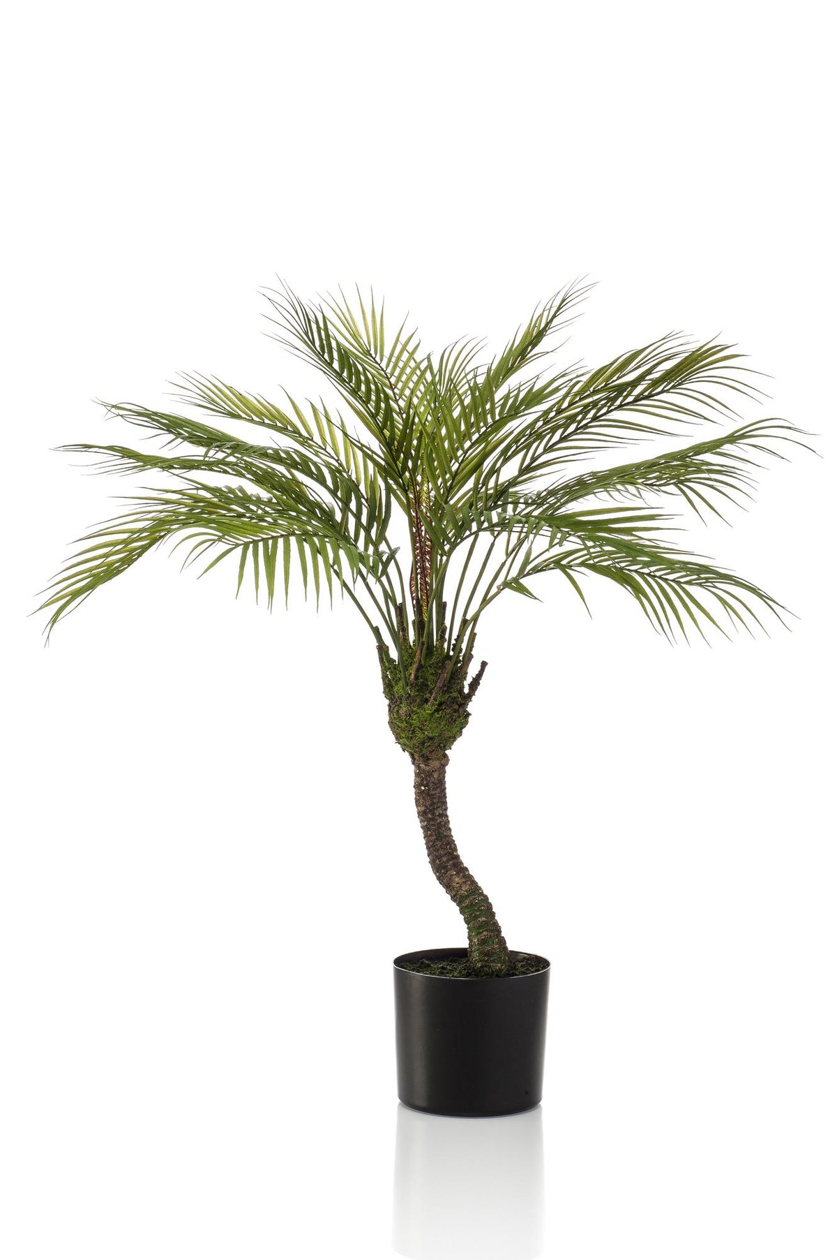 Kunstpflanze Chamaedorea Elegans, Bergpalme von Everspring, 85 cm hohe grüne Zimmerpflanze als Dekoration