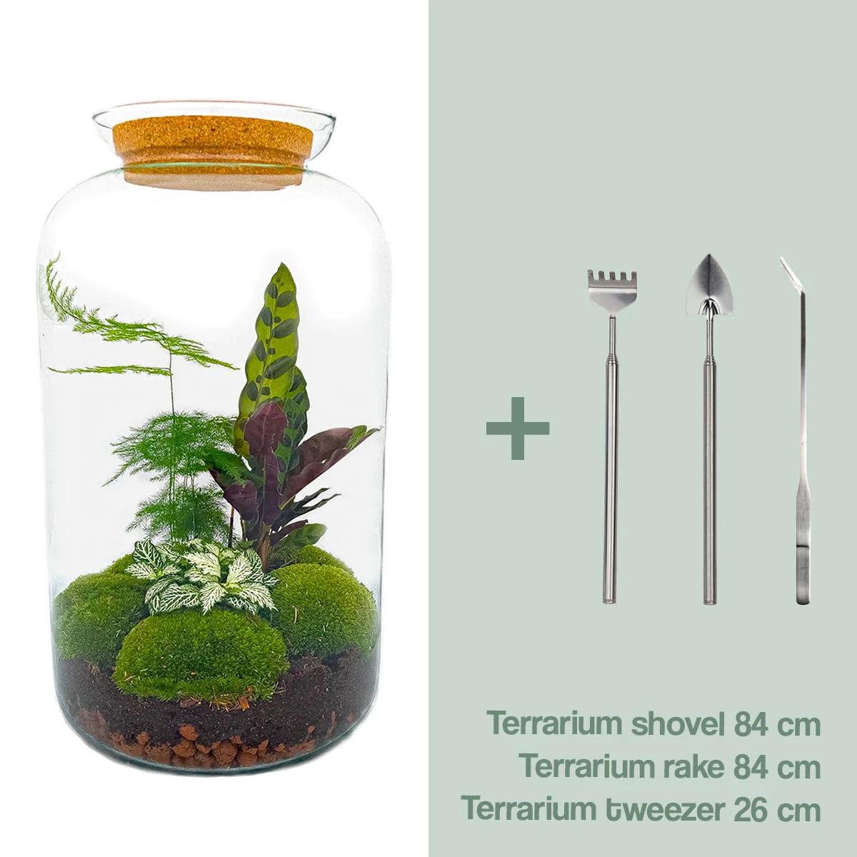 Everspring Flaschengarten Botanical Sven XL mit Rake, Schaufel und Tweezer, 43 cm hoch, inklusive Pflanzen und Zubehör.