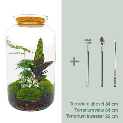 Everspring Flaschengarten Botanical Sven XL mit Rake, Schaufel und Tweezer, 43 cm hoch, inklusive Pflanzen und Zubehör.