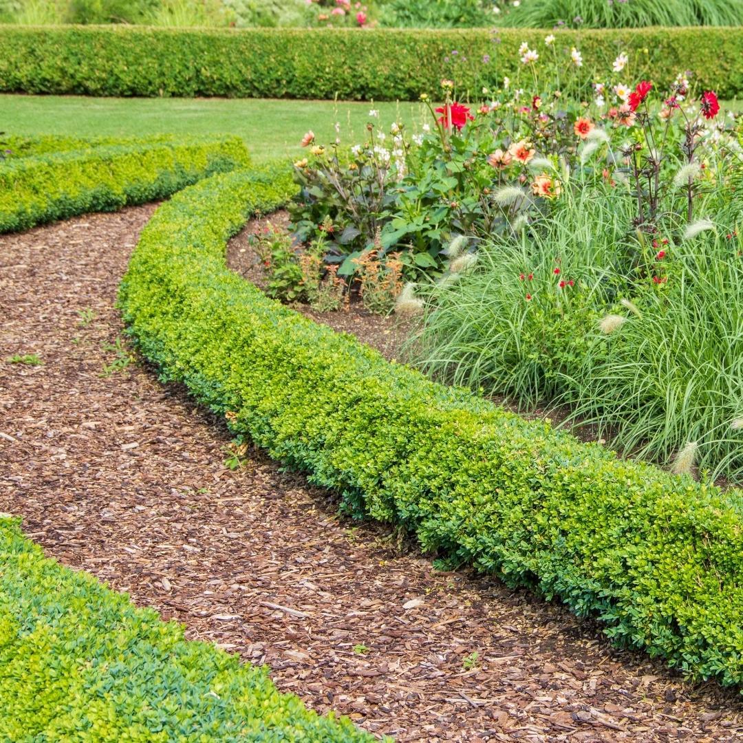 Everspring Culvita Premium Französische Baumrinde, 40 L, als natürlicher Bodendecker und Dekorrinde für Garten und Wege.
