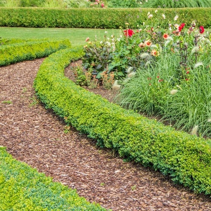 Everspring Culvita Premium Französische Baumrinde, 40 L, als natürlicher Bodendecker und Dekorrinde für Garten und Wege.