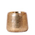 Luxuriöser Blumentopf - Goldener Keramiktopf - Ø 9 cm - Wurzelwerk Design