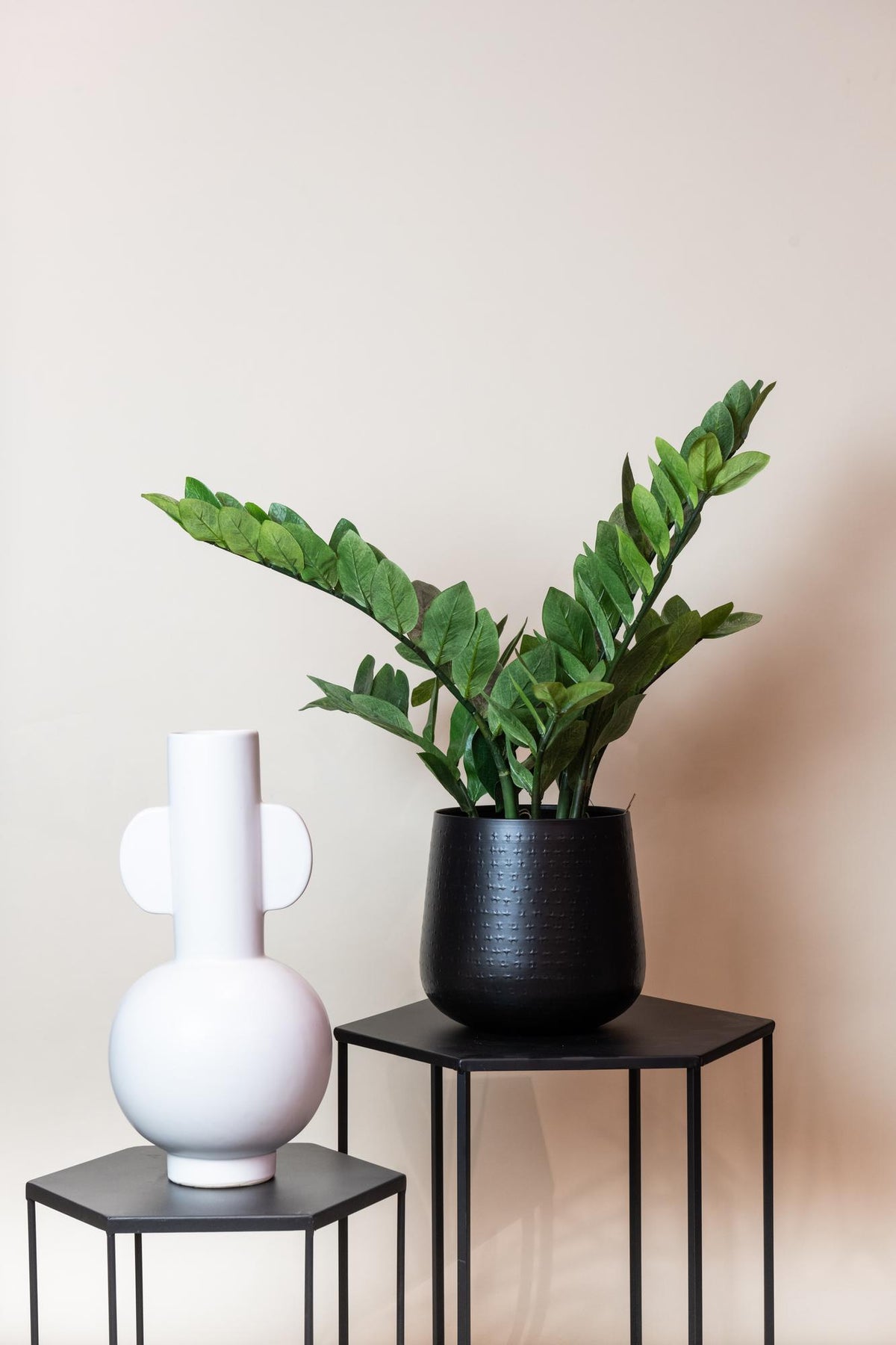 Kunstpflanze Zamioculcas Zimmerpalme von Everspring, 70 cm hohe, grüne Zimmerpflanze in Topf, detailreiche künstliche Pflanze