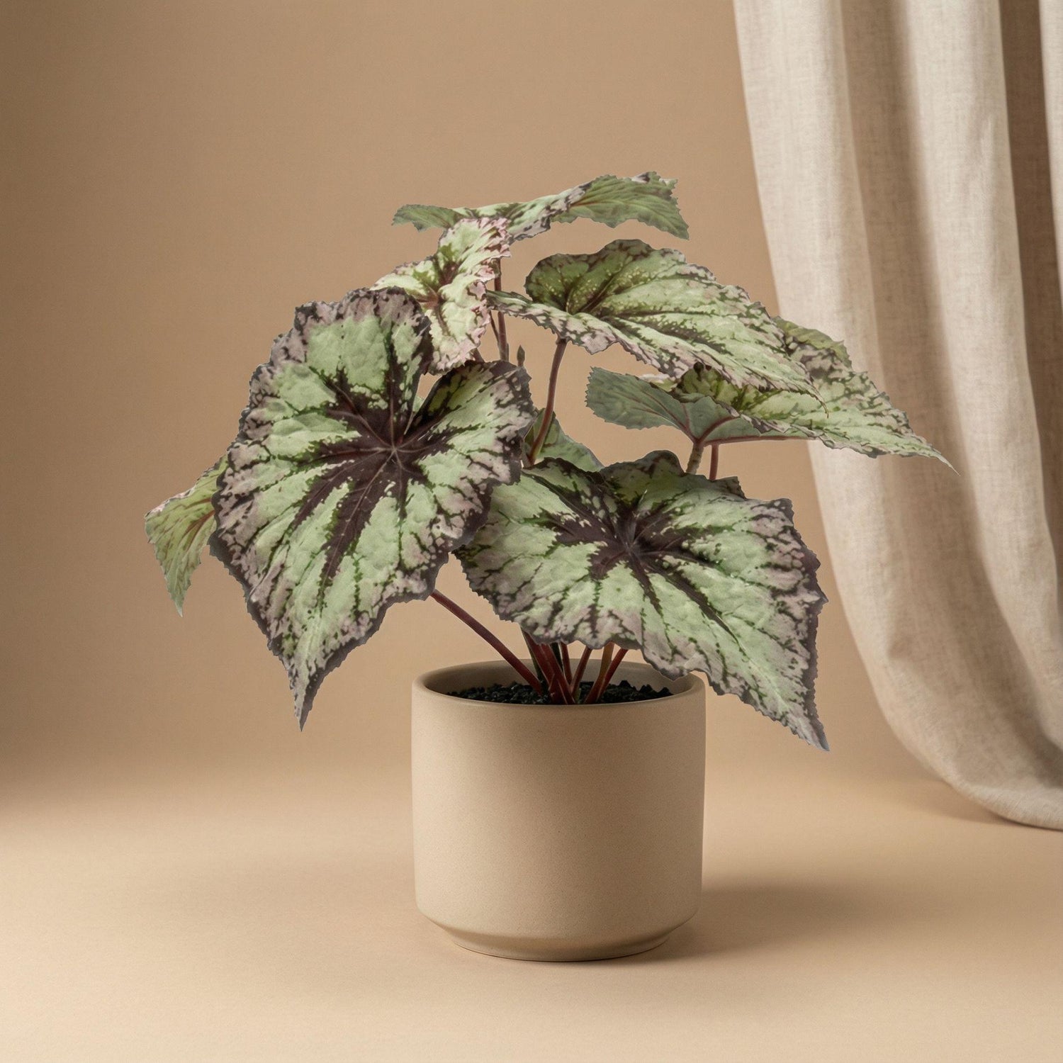 Künstliche Begonie im 26 cm Topf von Everspring, UV-beständige Kunstpflanze mit grünen Blättern, perfekt für Dekoration.