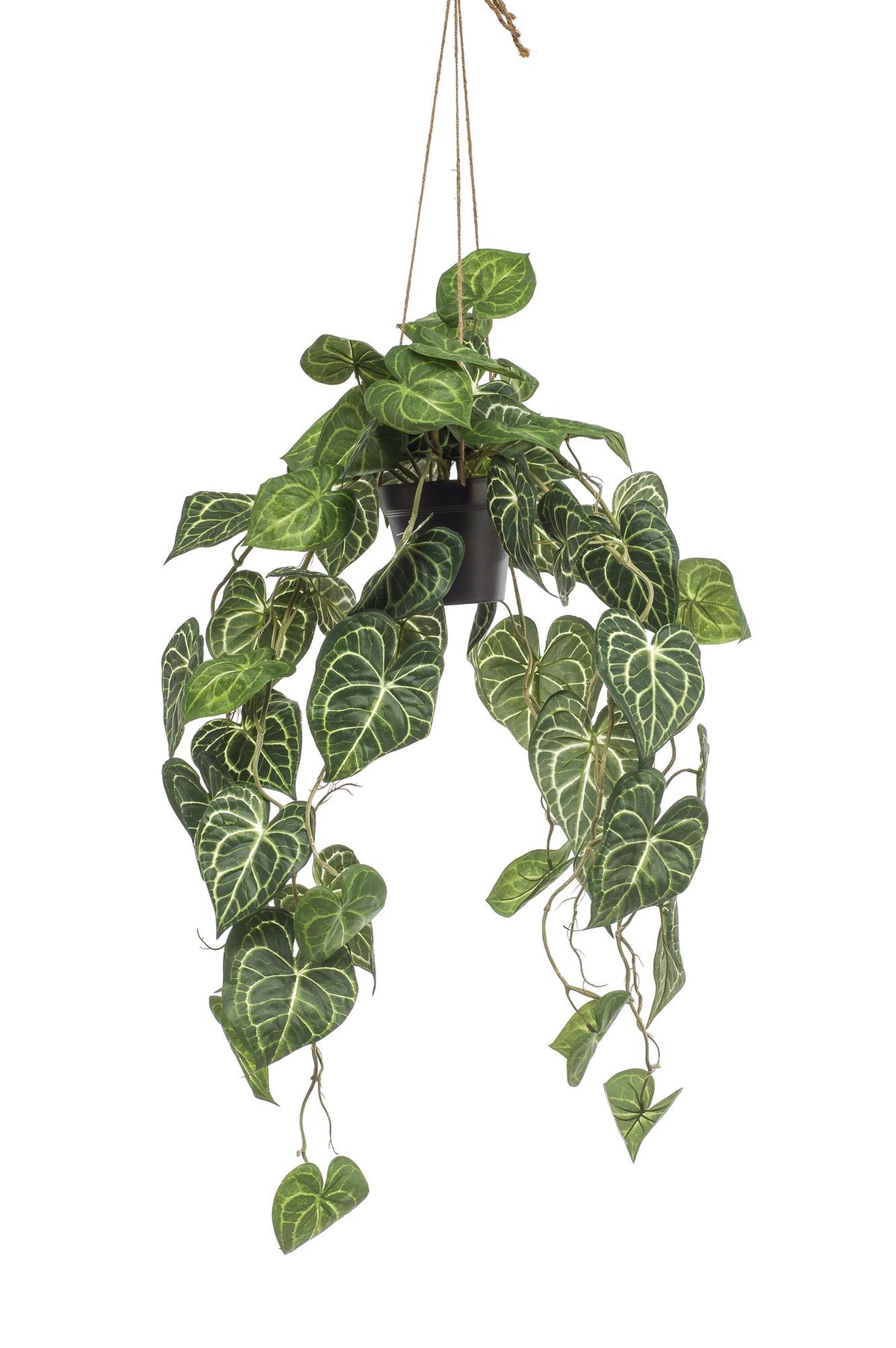 Everspring Kunstpflanze Anthurium Clarinervium, 80 cm hohe Pflanze mit grünen, herzförmigen Blättern, realistische künstliche Dekopflanze
