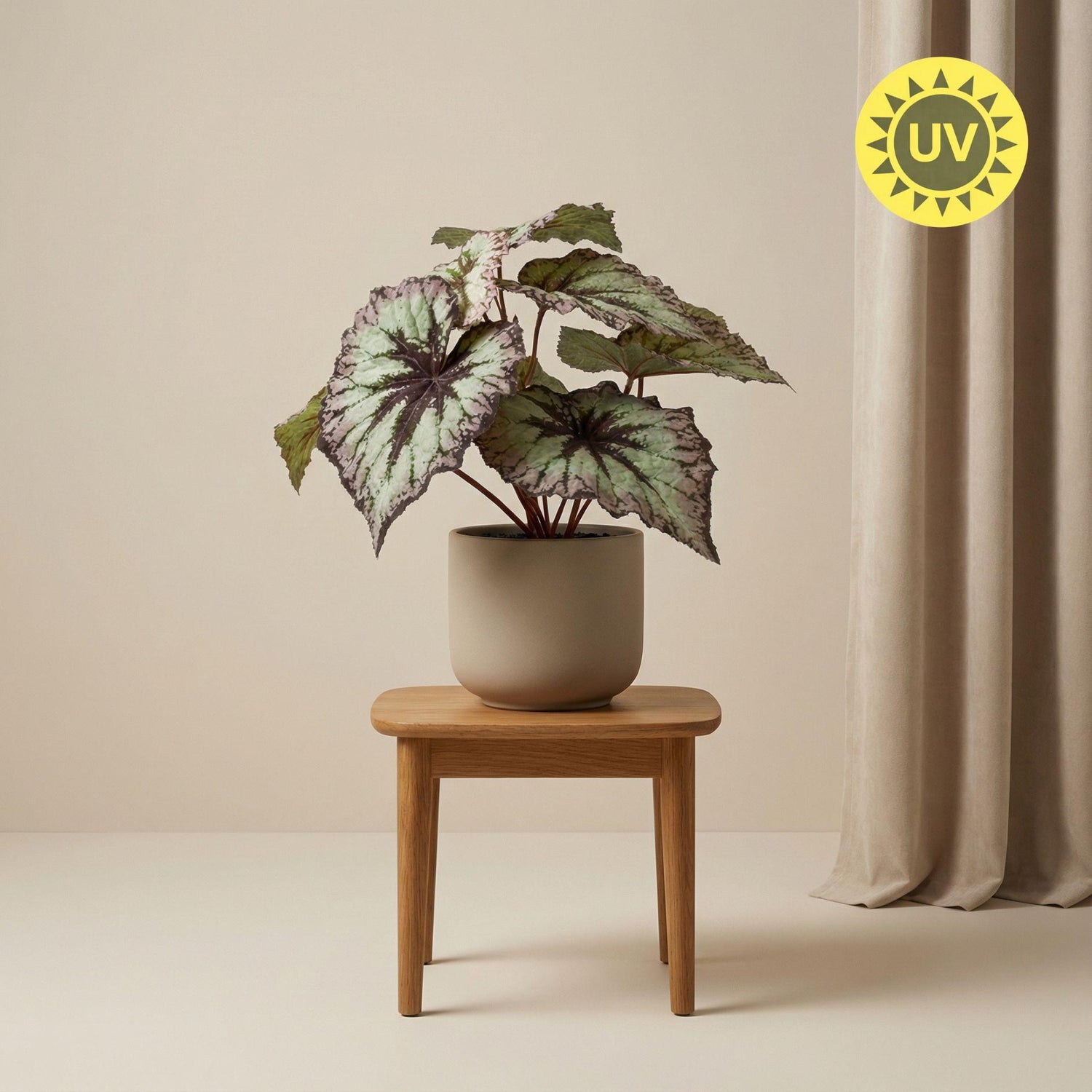 Künstliche Begonie Pflanze im 26 cm Topf von Everspring, UV-beständige Kunstpflanze mit grünen Blättern und bunten Blüten