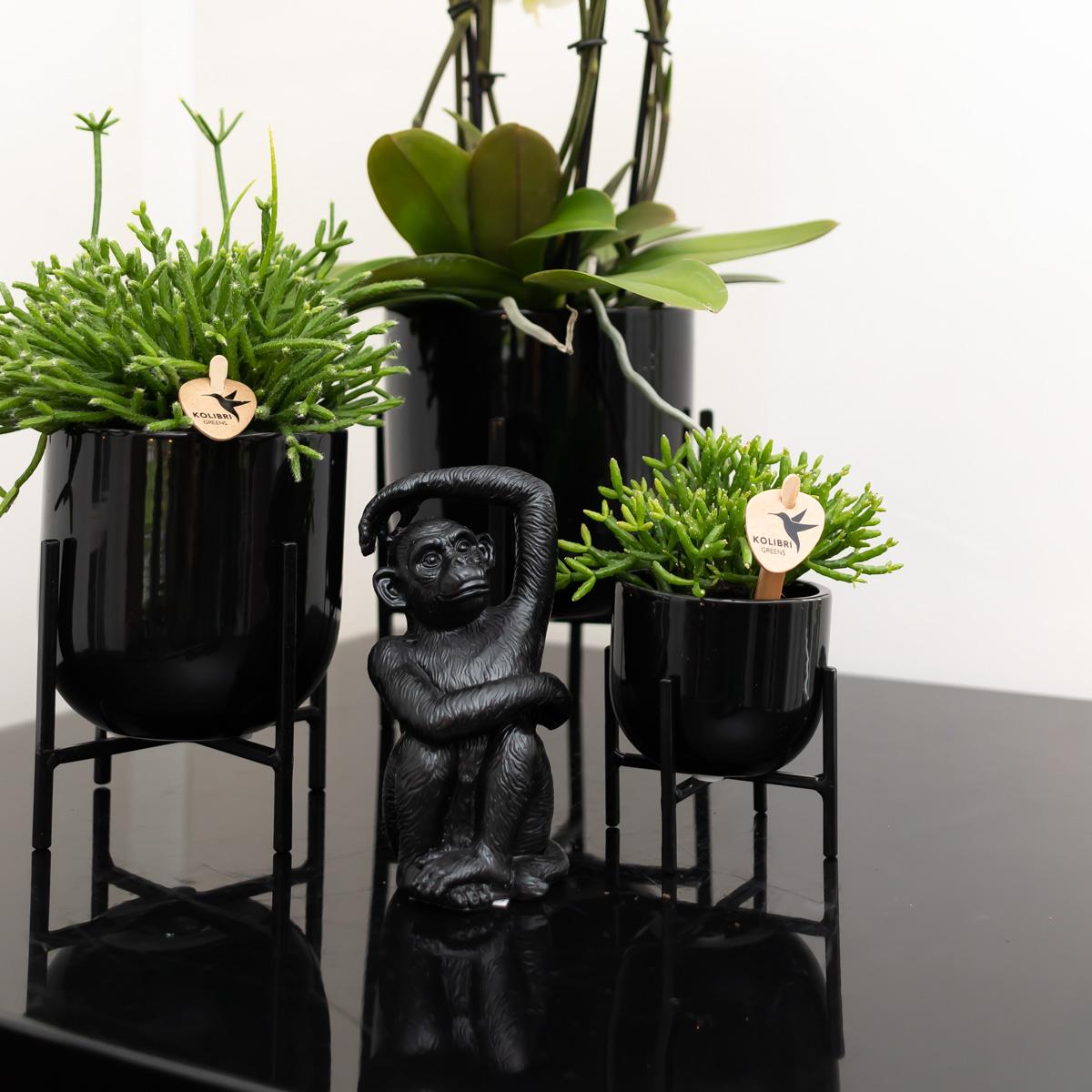 Deko - Skulptur Sitzender Affe - Schwarz - Wurzelwerk Design