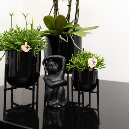 Deko - Skulptur Sitzender Affe - Schwarz - Wurzelwerk Design