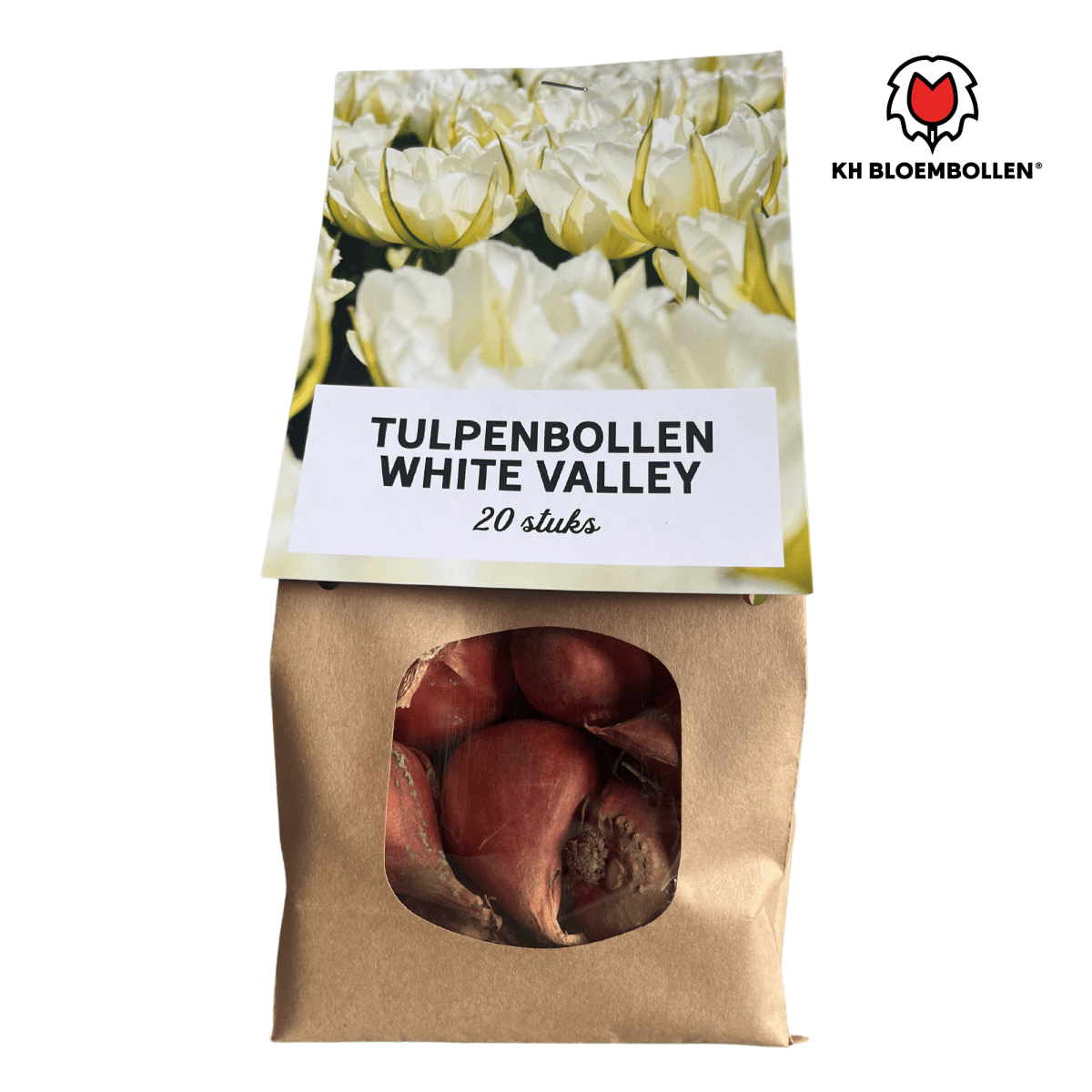 White Valley Tulpen – 20 Zwiebeln | Weiße gefüllte Blüten - Wurzelwerk Design