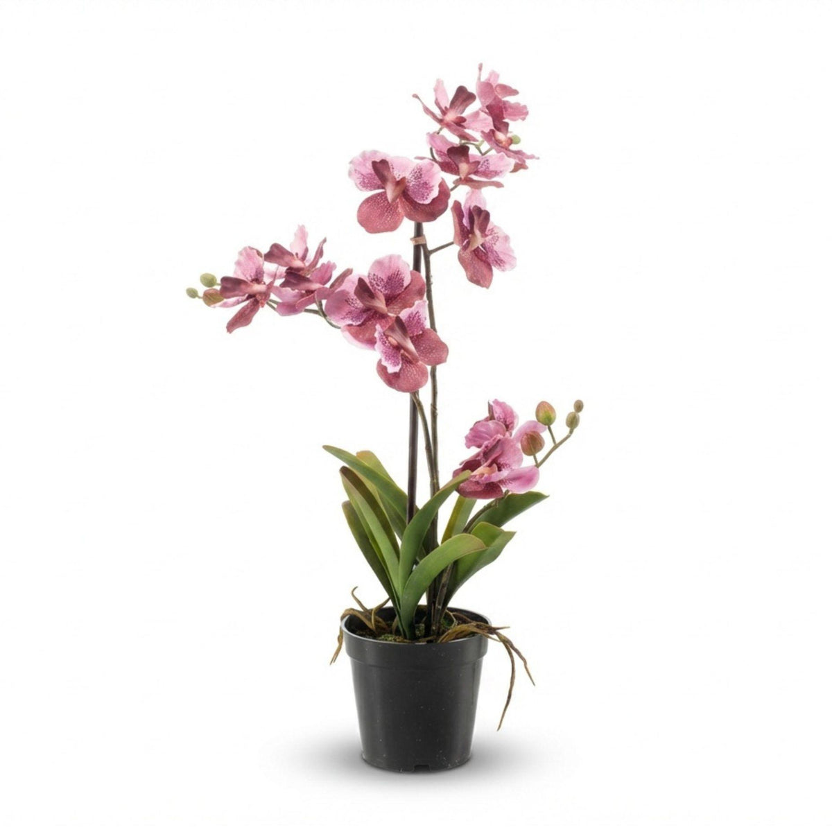 Künstliche Vanda Orchidee 60 cm altrosa im Topf, detailreiche und realistische Everspring Pflanze für Dekorationen