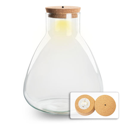 Terrariumflasche mit Beleuchtung, Sam Ø 24,5 cm, 30 cm hoch, Everspring, dekorative Glasflasche mit Licht für Pflanzen und Terrarien