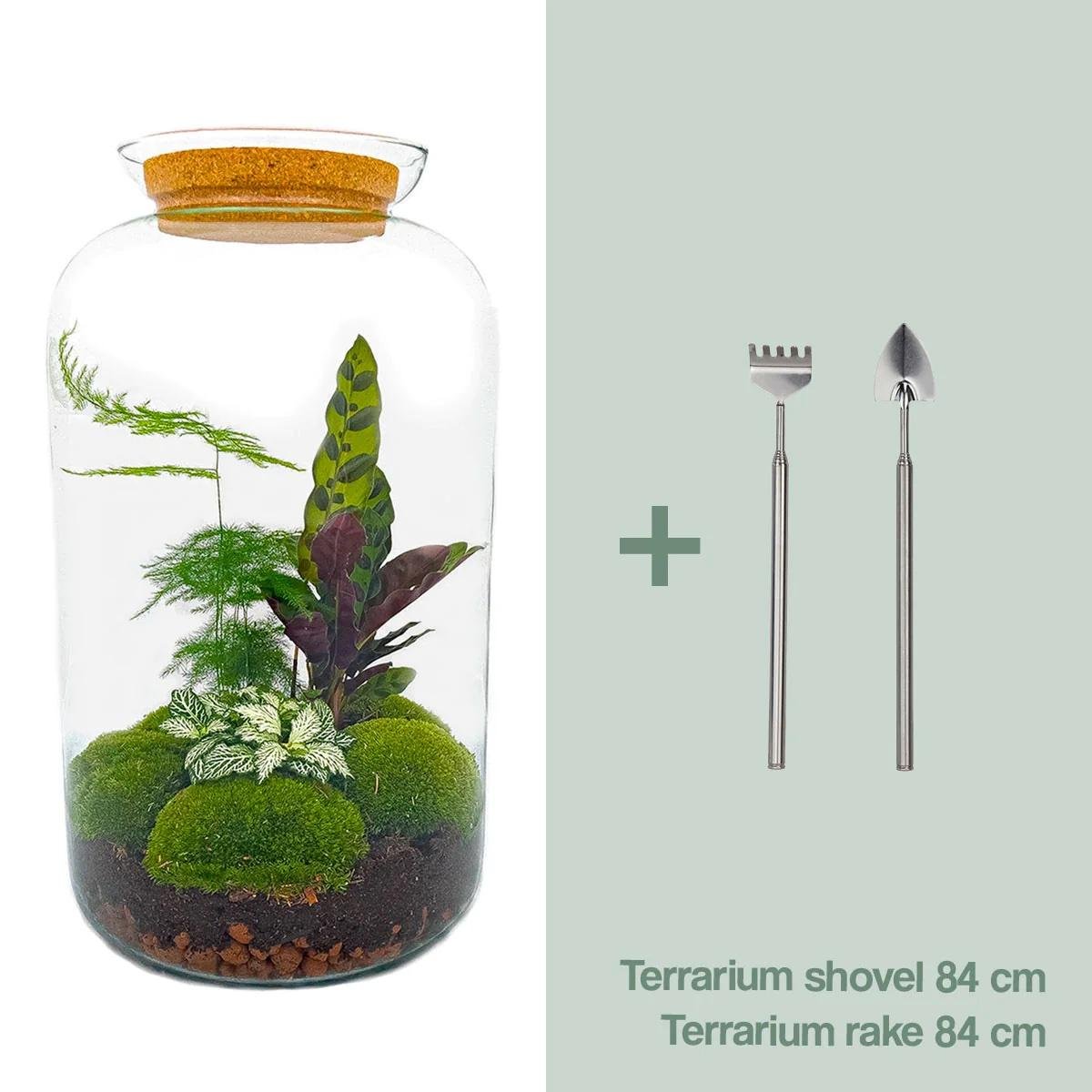 Botanischer Flaschengarten Sven XL von Everspring mit Rake und Schaufel, 43 cm hoch, zeigt grüne Pflanzen in Glasflasche