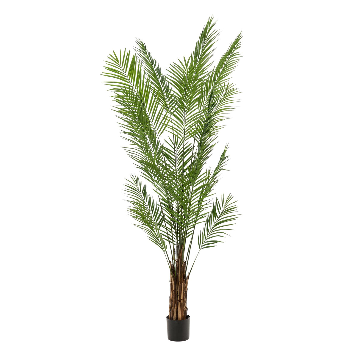 Künstliche Areca Lutescens Goldpalme von Everspring, 180cm oder 240cm, detailreiche grüne Pflanzen für Dekoration.