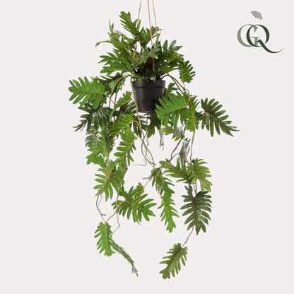 Hängende Kunstpflanze Philodendron von Everspring, 80 cm, täuschend echte grüne Pflanze für Dekoration im Innenbereich