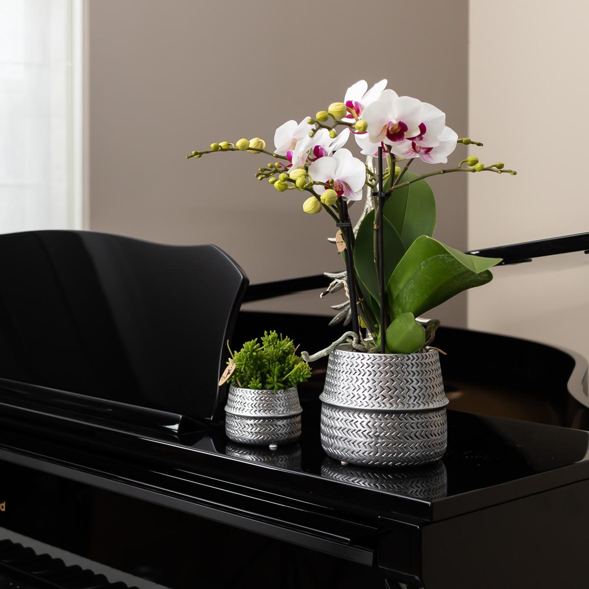 Groove Blumentopf - Goldener Keramik-Topf - Ø12cm