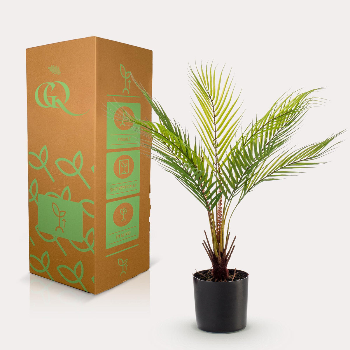 Kunstpflanze Chamaedorea Elegans, Bergpalme, 50 cm, Everspring, realistische grüne Kunststoffpflanze für Dekor.