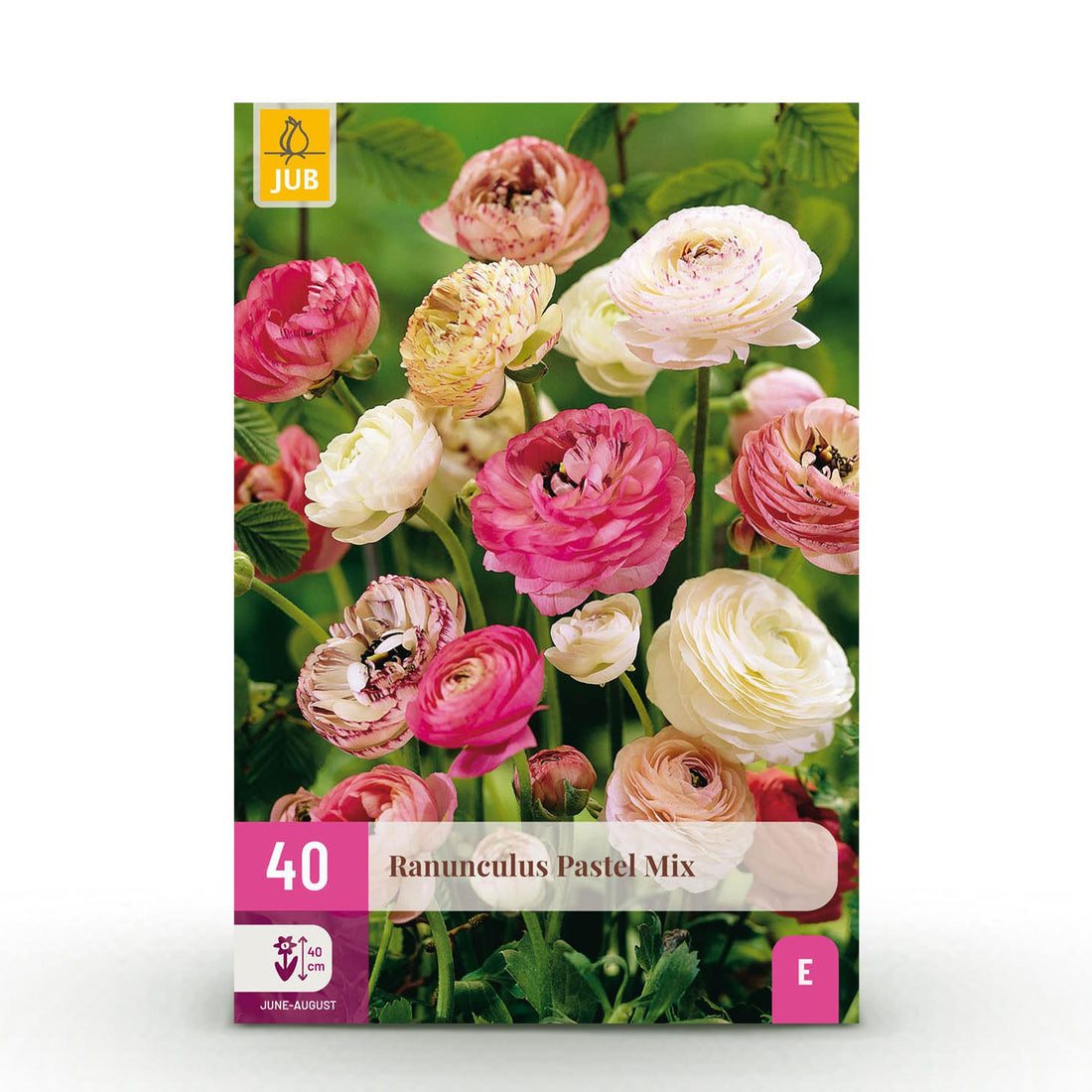 Blumenzwiebeln Ranunculus Pastel Mix | 40 Stück Pastellfarben – Zwiebelgröße 5/6 – XXL Pack