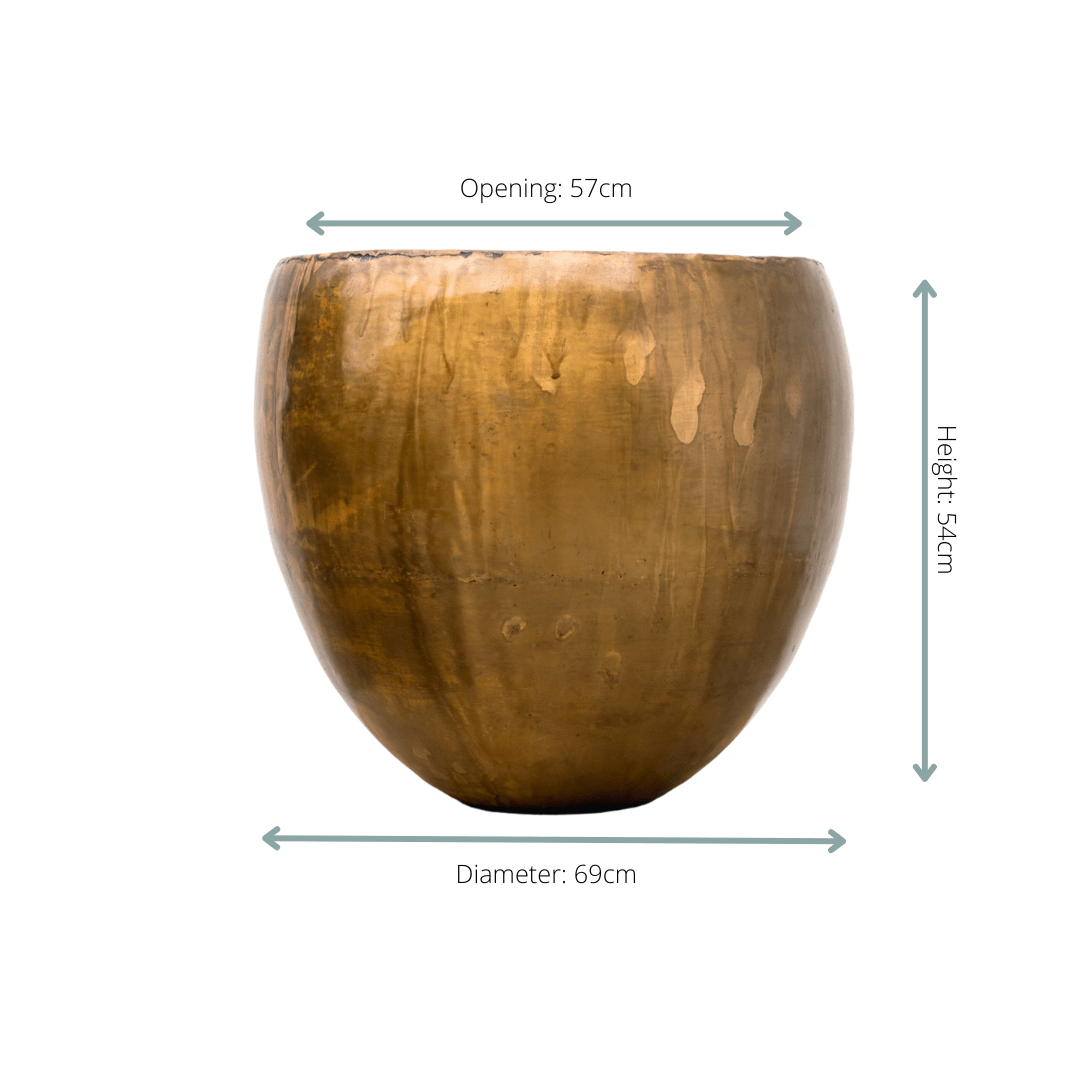 Topf Fabien Old Camel - Wurzelwerk Design