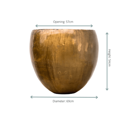 Topf Fabien Old Camel - Wurzelwerk Design