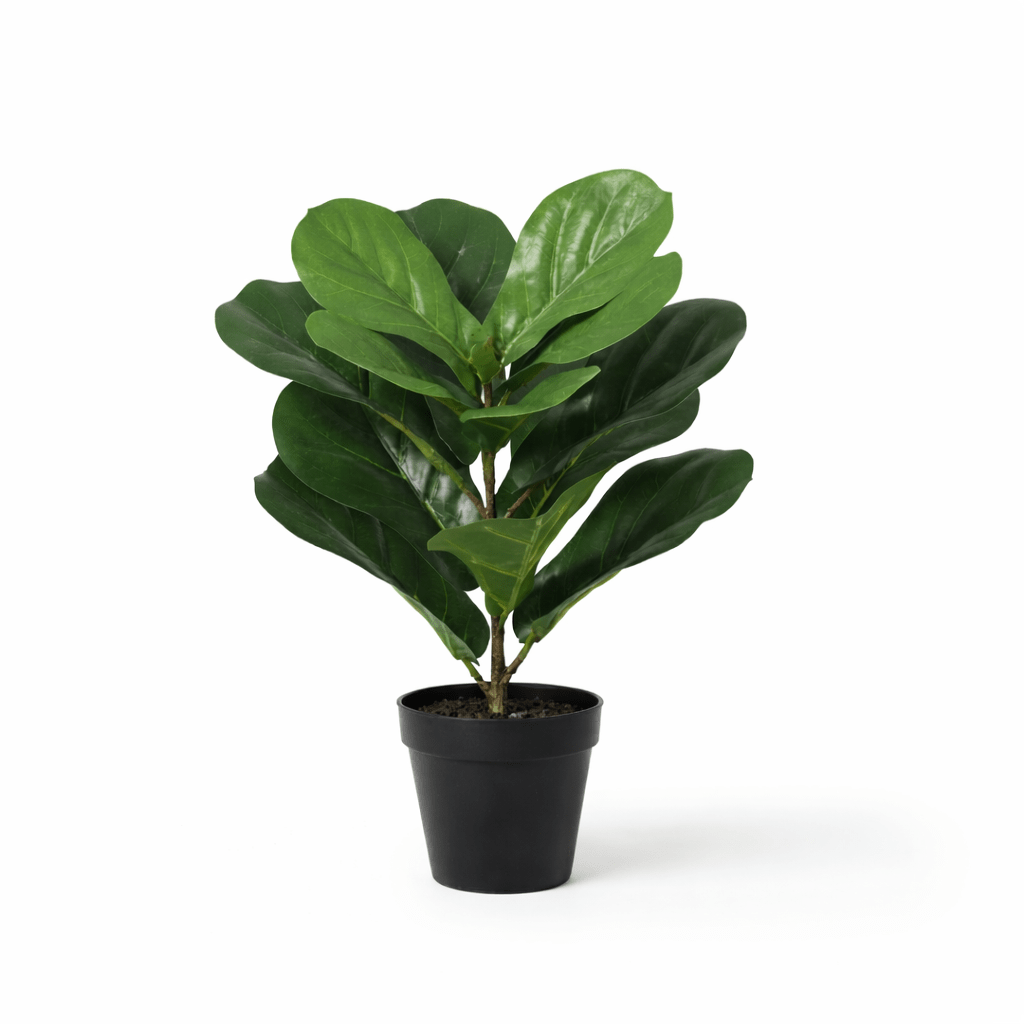 Künstliche Ficus lyrata (Geigenfeige) von Everspring, 150 cm, detailreiche Nachbildung einer grünen Zimmerpflanze