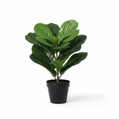 Künstliche Ficus lyrata (Geigenfeige) von Everspring, 150 cm, detailreiche Nachbildung einer grünen Zimmerpflanze