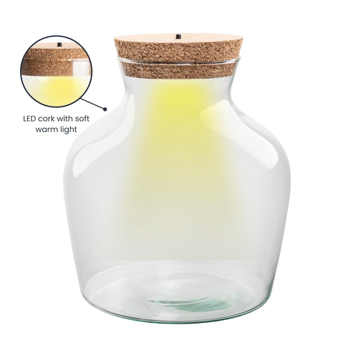 Terrarienflasche mit LED - Beleuchtung - Öffnet ein Terrarium - Little Joe - ↑ 22 cm - Ø 20 cm - Wurzelwerk Design