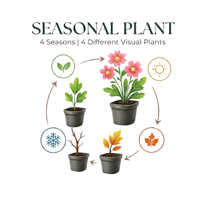 6x Carex morrowii - ↕10-25cm - Ø9cm