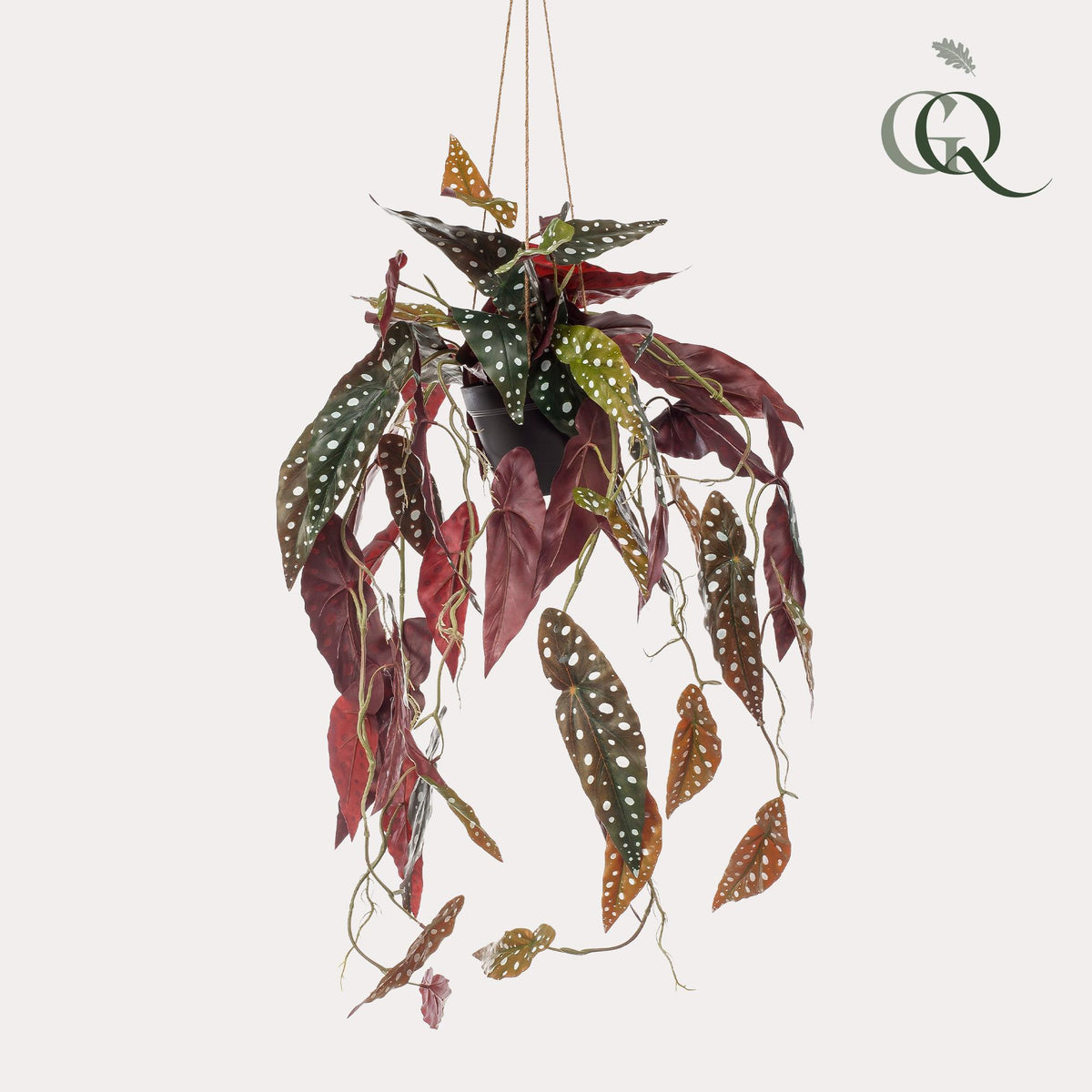 Kunstpflanze Begonia Maculata, Forellenbegonie, 80 cm, Everspring, detailreiche, realistische Kunstpflanze in Top-Qualität