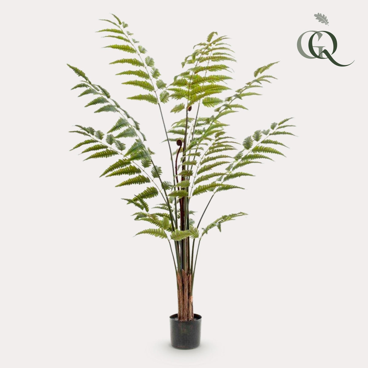 Kunstpflanze Lederfarn Rumohra Adiantiformis, 150 cm hoch, Everspring, detailreiche, realistische künstliche Zimmerpflanze